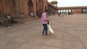 Pakistani Flying-Girl